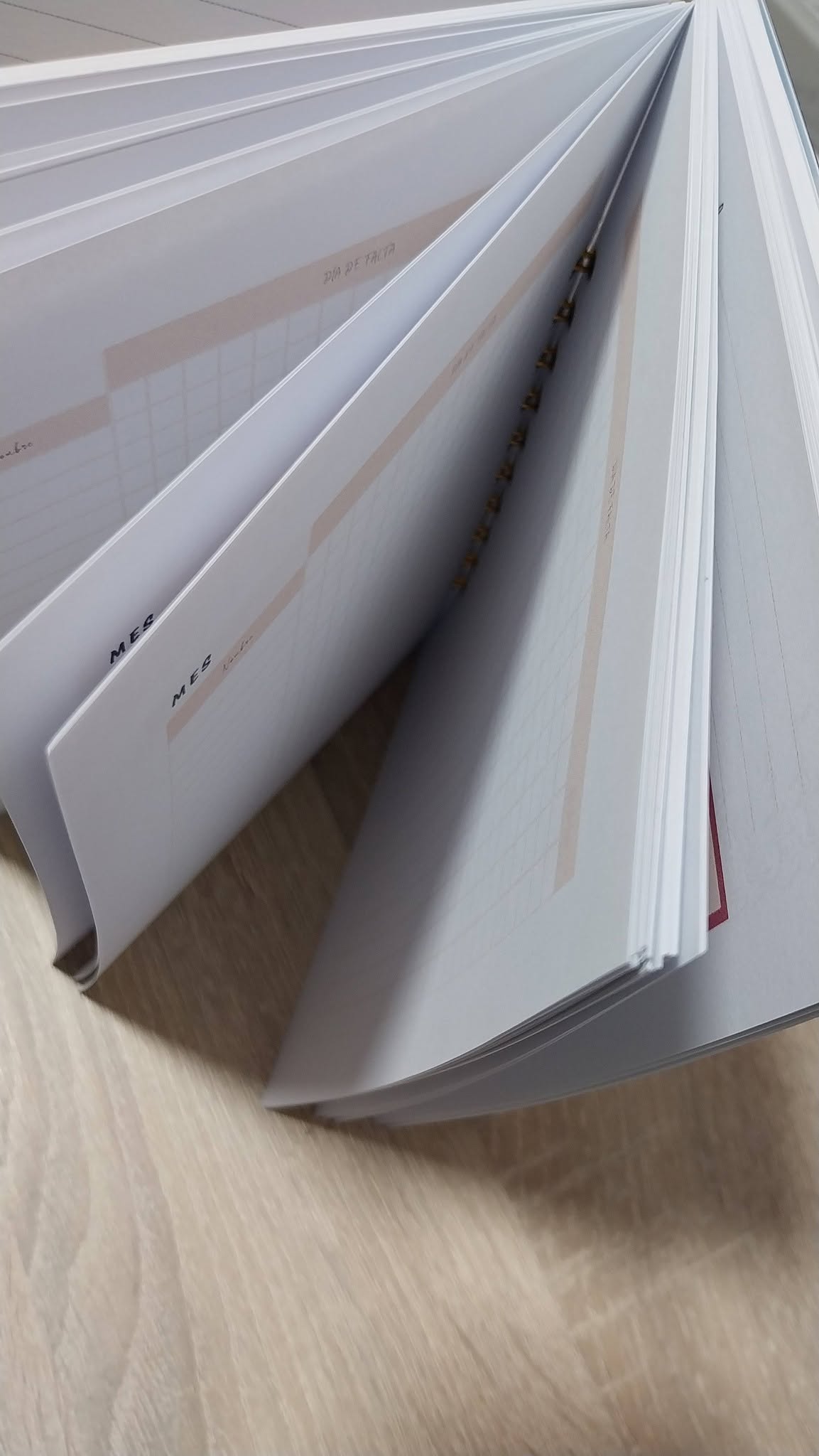 Libreta entrenador/a Gimnasia Rítmica - Imagen 5