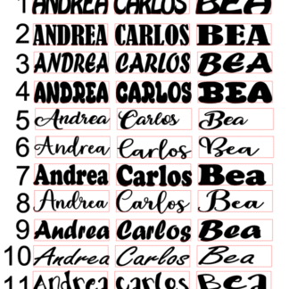 3 NOMBREs PERSONALIZADOs EN VINILO ADHESIVO 7x2 CM.